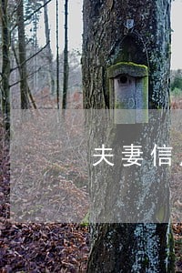 夫妻信用卡逾期 贷款 夫妻信用卡逾期 贷款